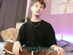 Harrybunny