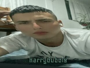 Harrydubois