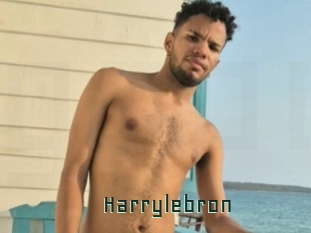 Harrylebron