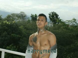Harrymera