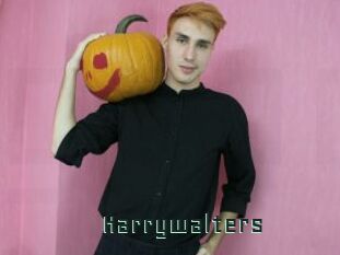 Harrywalters