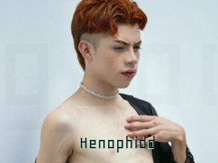 Henophidd