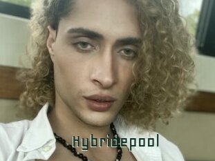 Hybridepool