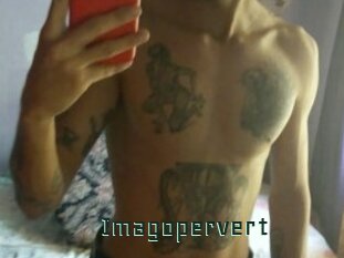 Imagopervert