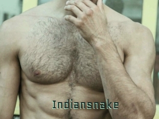 Indiansnake