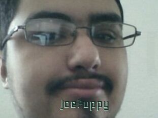 JoePuppy