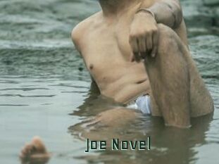 Joe_Novel