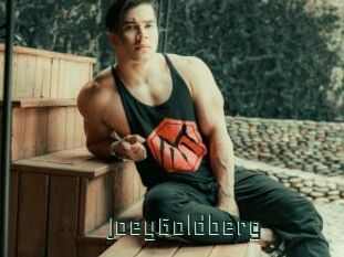 JoeyGoldberg