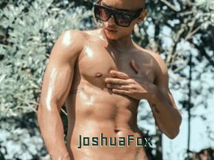 JoshuaFox