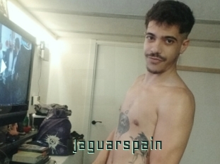 Jaguarspain