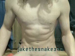 Jakethesnake312