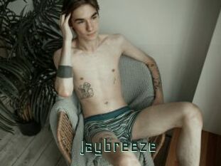 Jaybreeze