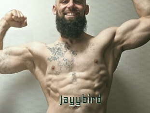 Jayybird