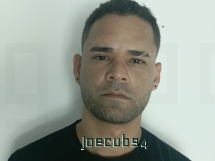 Joecub94