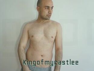 Kingofmycastlee