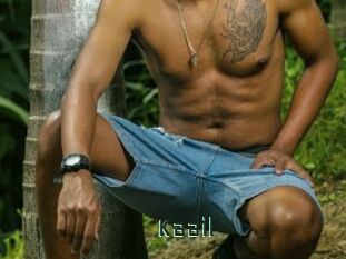Kaail