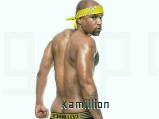 Kamillion