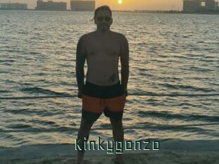 Kinkygonzo