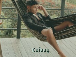 Koiboy