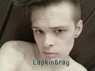 LapkinGray