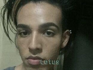 Lotus