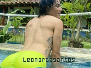 Leonardosantos