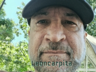 Leoncarpita
