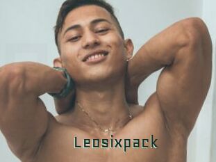 Leosixpack
