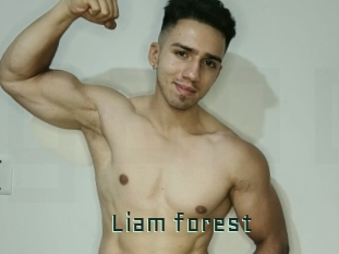 Liam_forest