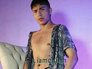 liamcullen Gay Porn