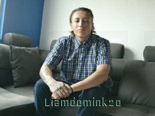 liamdomink20 Gay Porn