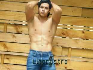 Litocastro