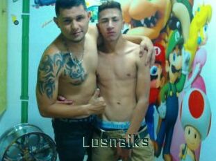 Losnaiks