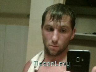Mason_Levy