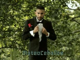 MateoCeballos
