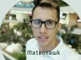 MateoHawk