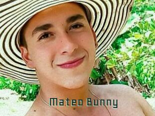 Mateo_Bunny