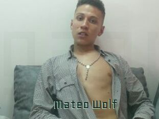 Mateo_Wolf