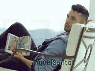 MiguelSanto