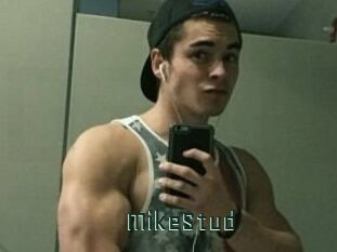 MikeStud