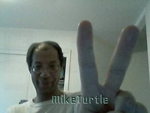 MikeTurtle