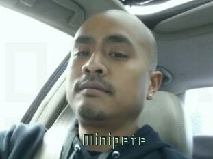 Minipete