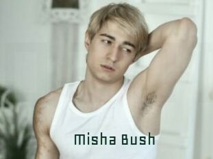 Misha_Bush