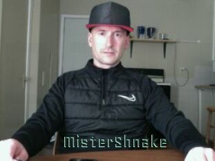 MisterShnake