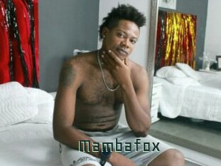 Mambafox