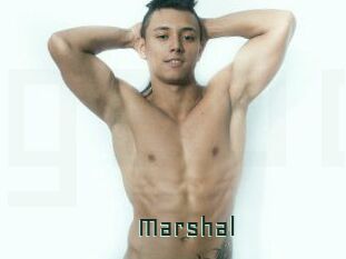marshal Gay Porn