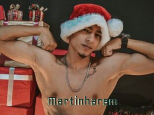 Martinharem