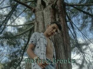 Mathew_brooks