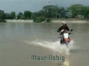 Maurillobig