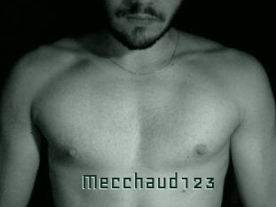Mecchaud123